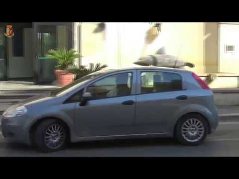 Ragusa, bambina violentata per anni dal patrigno