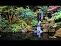 3 HOURS Of The Best Relaxing Music Bamboo Flute For Meditation Spa Healing And Sleep