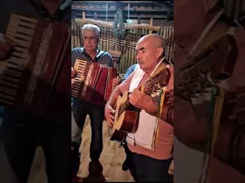 Folia de reis Biquinhas MG