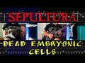 Sepultura Dead Embryonic Cells Guitar Cover Tab