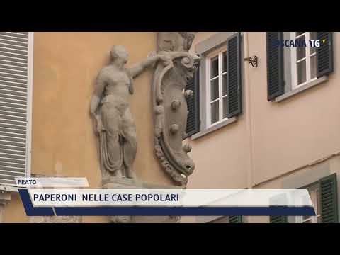 2022-07-10 PRATO -  PAPERONI  NELLE CASE POPOLARI