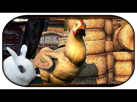 Neverwinter Special 🐇 43 🐔 Gackastrophe 🐓 Scherzvögel und Geflügelgemetzel