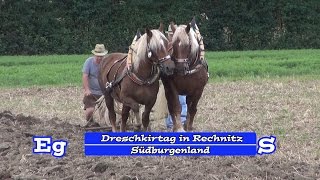 preview picture of video 'Dreschkirtag in Rechnitz / Südburgenland'