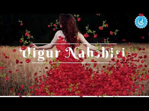 Shireli Gheni - Nemishqa