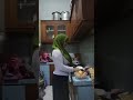 Mini Vlog Temenin Aku Yuk Bikin Risol Part 5 Spesial Ala Stw Hijab Tobrut Geal Geol Gondal Gandul