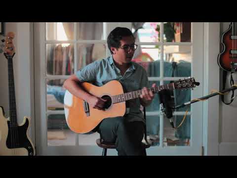 Harlow's Monkeys - Real Life