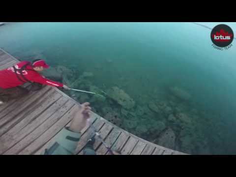 Воблеры DUO Tetra Works Toto Shad