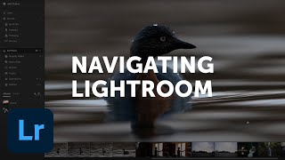 Navigating Adobe Lightroom Is Kinda Weird