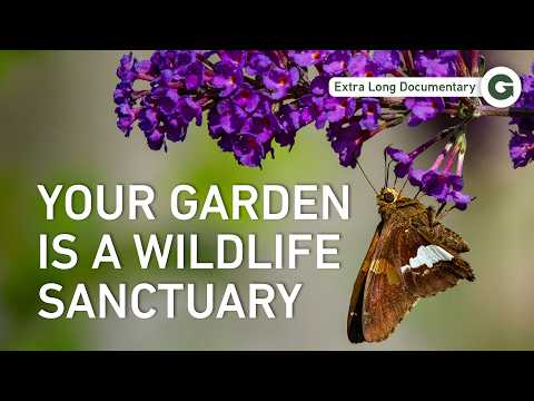 Inside a Living Garden: A Year-Long Nature Journey | Full Documentary