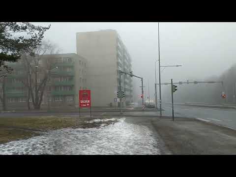 Tallinn 12 03 22