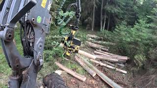 Plynas kirtimas | John Deere 1170G | IBC | H413 | MTH
