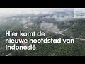 Vaarwel oud regenwoud, hier komt de nieuwe hoofdstad van Indonesië