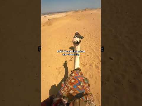 Camel Rides in Egypt 🇪🇬 Pyramids, Desert Views & Timeless Moments