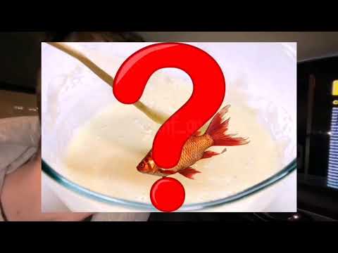 ФРАМЕ ТАМЕР ЗАКАЗЫВАЕТ БИГ ТЕЙСТИ БЕЗ ЛУКА