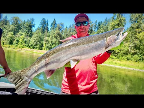 Small River Summer Steelhead Fishing. Keys To SUCCESS! (Live Discussion)