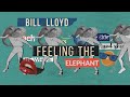 BILL LLOYD "Feeling The Elephant" (2021)