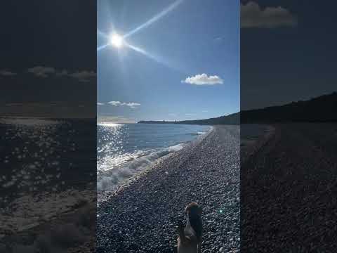 Гостевой дом «Эливэл» - Лдзаа (Лидзава), ул. Агрба, 81А видео