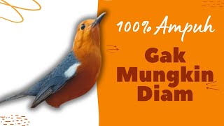 Download lagu Merangsang Emosi Dalam Hitungan Detik, Pancingan Dan Terapi Anis Merah Macet Bunyi | AMO 23 mp3 Download lagu Merangsang Emosi Dalam Hitungan Detik, Pancingan Dan Terapi Anis Merah Macet Bunyi | AMO 23 mp3