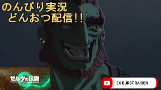 どんおつ配信「ゼルダの伝説 ティアーズオブザキングダム」14