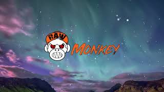 Caine - Break The Sound (XTRA RAW) [MONKEY TEMPO]