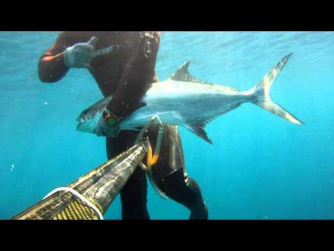 Andrija kamenog LICA