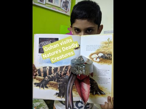 Nature's Deadly Creatures🐍🦎🐟🐙🕷🦂