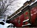 Wait till it snows - Emilie Mover 