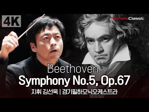 Beethoven Symphony No. 5 Thumbnail