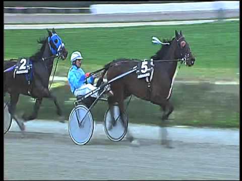 Trotto 14/02/2016 - 3° corsa