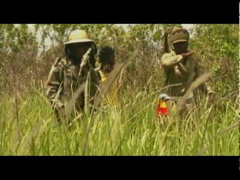 Bongo Immanuel - Ding fitie sani