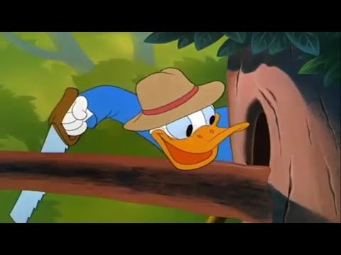 ᴴᴰ Pato Donald y Chip y Dale dibujos animados - Pluto, Mickey Mouse Episodios Completos Nuevo 2018