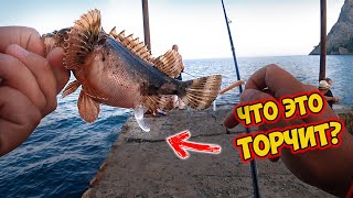 Морская рыбалка на ультралайте