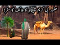 Hazoor Nabi Kareem ﷺ k taif ka safar ka waqia | Hazrat Muhammad (SAW) ka waqiya|طائف کا دردناک واقعہ