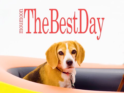 moumoon / The Best Day (Official Music Video)