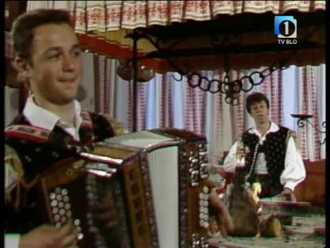 Ansambel Vrtnica - Nazdravimo si prijatelji