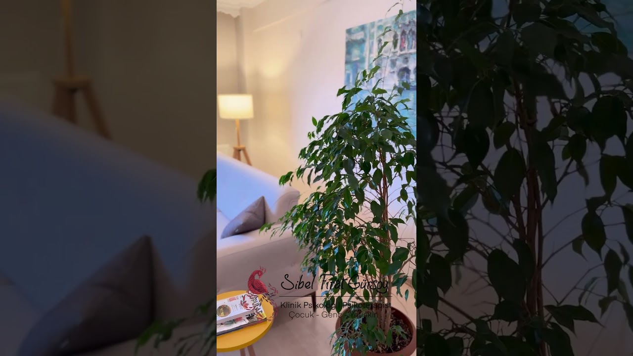 Sibel Fırat Gürsoy-6