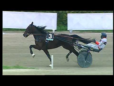 Trotto 22/01/2021 - 1ª corsa