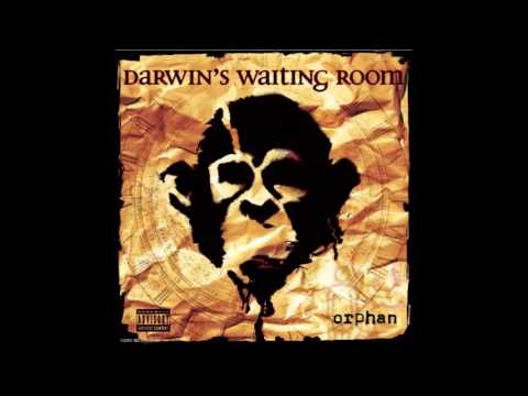 Darwin's Waiting Room - Sometimes It Happens Like This