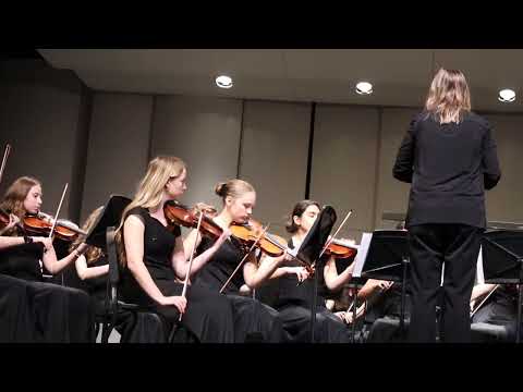 Campo Verde High Symphonic Strings - Vanishing Pointe  (festival performance) - Richard Meyer