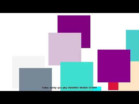 Video #sftp-gcs-pkg-20220831-081026-271909
