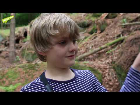 Wohnungen im Wald