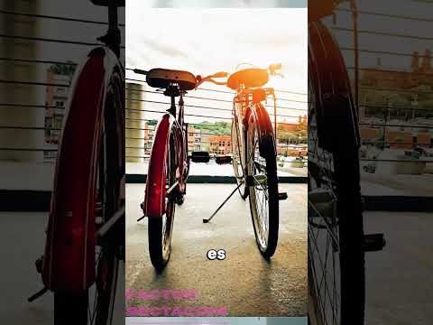 Video 4
