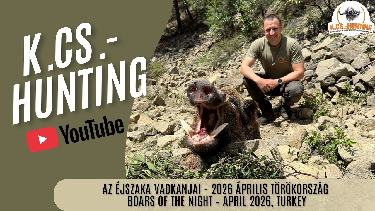 Az éjszaka vadkanjai - 2026 Április Törökország/Boars of the night - 2026 April, Turkey