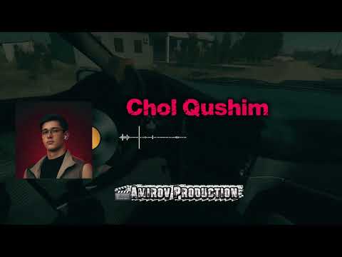 Choli Qushim - MC FARA (new uzbek music) from FARA. || @afruzbek_amirov #cholqushim 