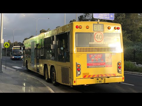 CDC Hillsbus: Scania K280UB 14.5m (ZF Ecomat) / Custom Coaches CB60 Evo II, m/o 9807