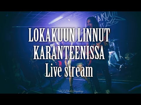 Lokakuun Linnut Karanteenissa - Live stream 2020
