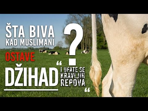 Šta biva kad muslimani ostave džihad i "ufate se kravljih repova"? - dr. Zijad Ljakić - Endelus
