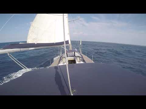 Surfing "GIORGIA now or never" - ITA80008, Genesi 43