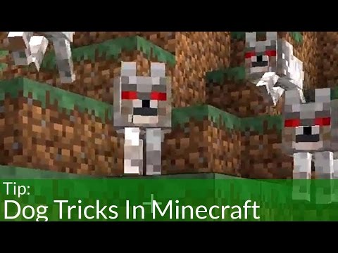 Dog Tricks In Minecraft