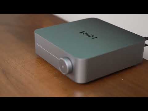 Wiim Amp Bundle x MartinLogan Foundation B1